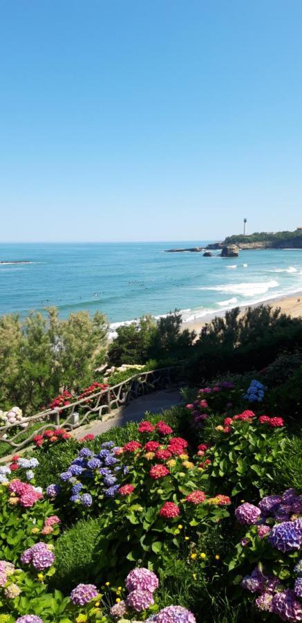 Dalhia Studio Centre Ville Biarritz Extérieur photo